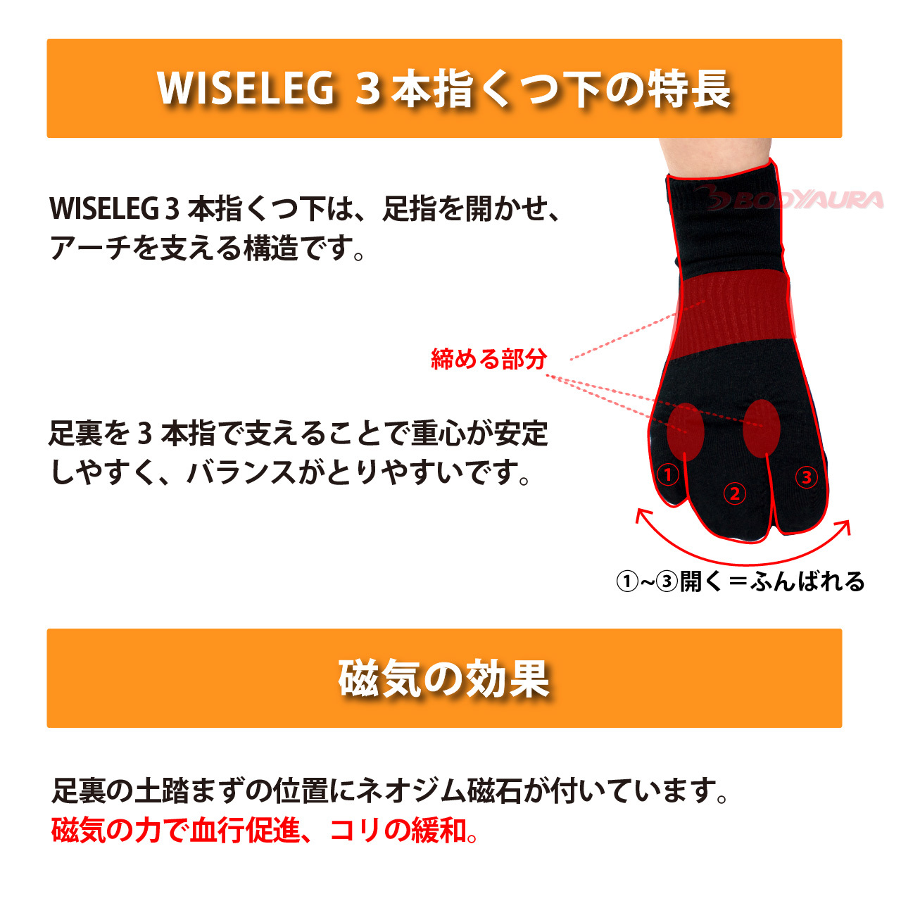 マグネットフットケアWISELEG3本指靴下の特長、磁気の効果