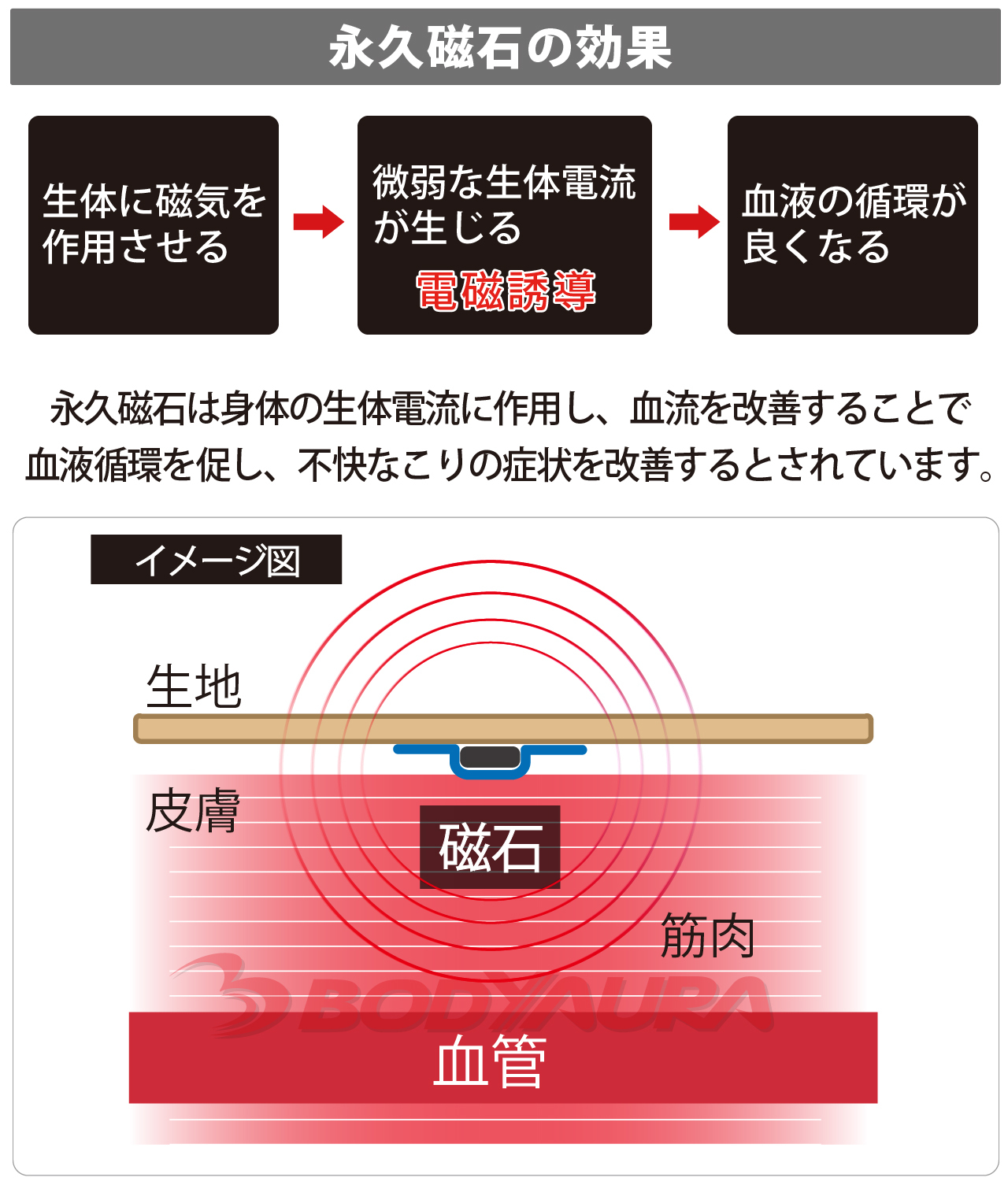 永久磁石の効果