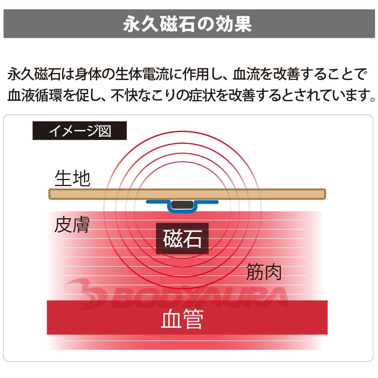 永久磁石の効果