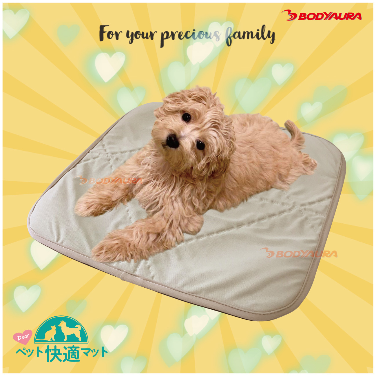 トイプードル　Dearペット快適マットSサイズ