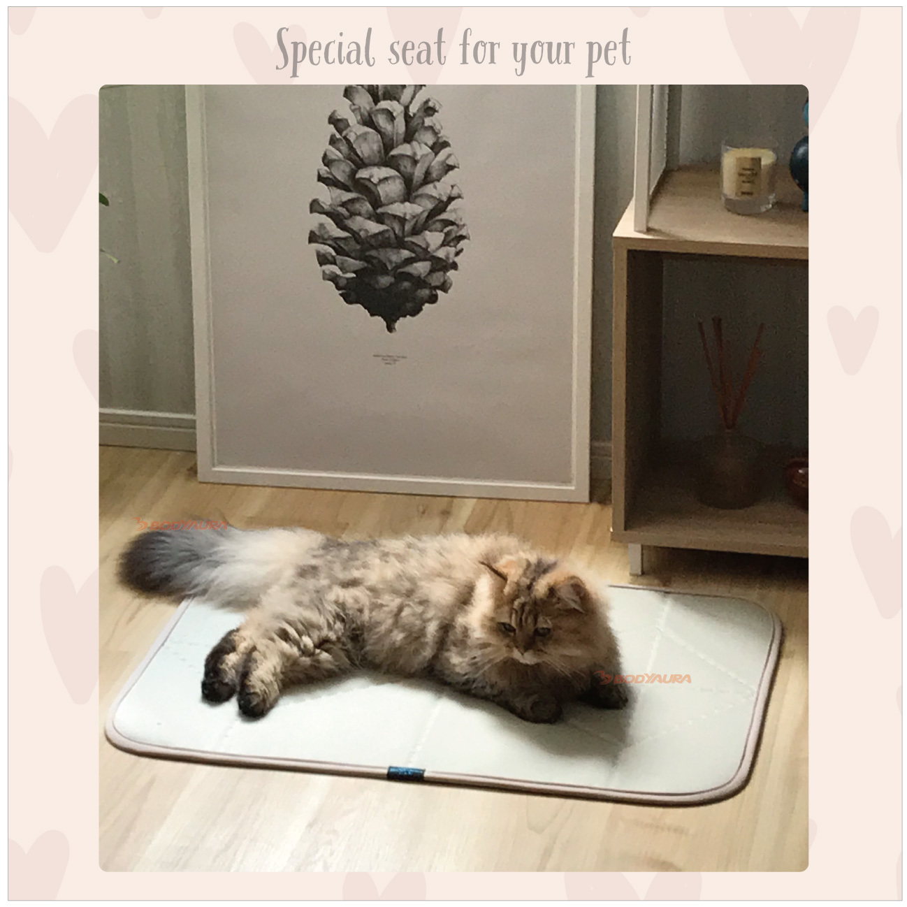 猫　Dearペット快適マットMサイズ