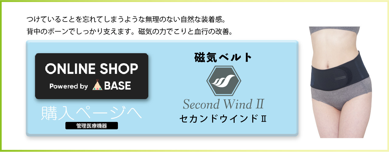 SECONDWINDⅡ磁気腰ベルト