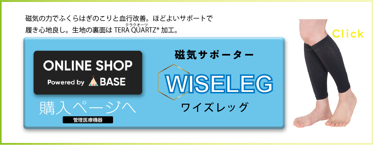 WISELEG　磁気サポーター