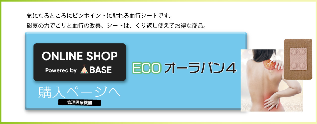 ECOオーラバン４　マグネットバン