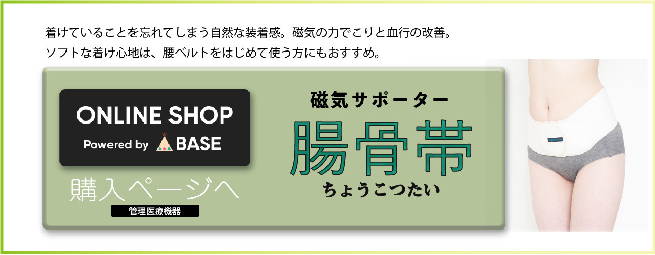 腸骨帯　磁気腰ベルト