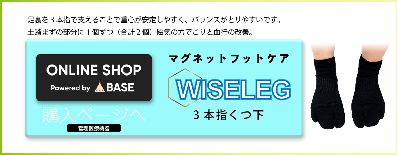 マグネットフットケアWISELEG3本指靴下購入ページ