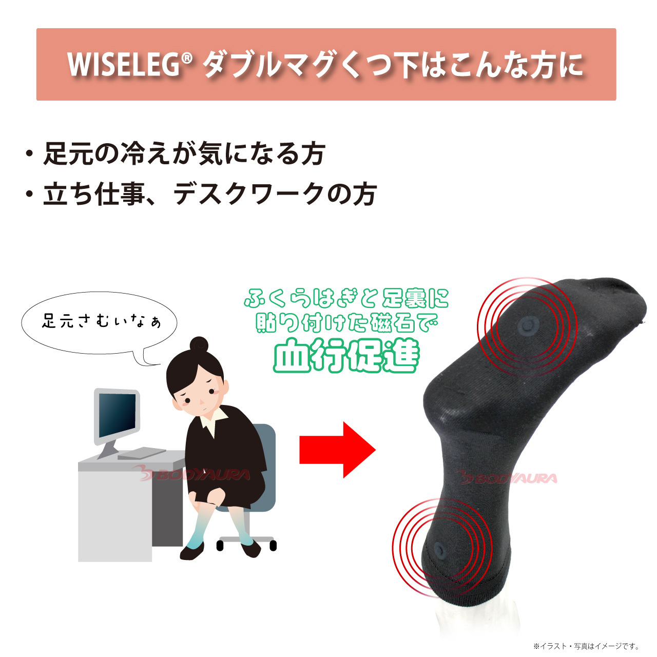 磁気レッグウエアWISELEGダブルマグくつ下