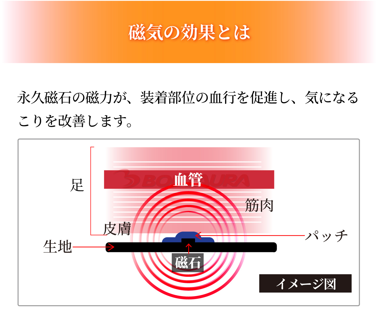 管理医療機器 磁気レッグウエアWISELEGダブルマグくつ下 磁気の効果とは