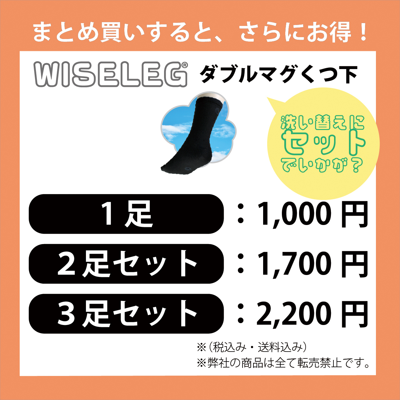 磁気レッグウェア WISELEG(ワイズレック）ダブルマグ くつ下 セット価格