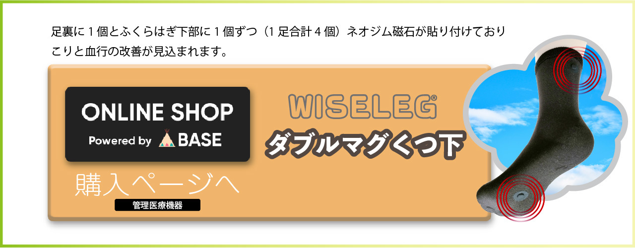 マグネットフットケアWISELEGスニーカータイプくつ下購入ページ