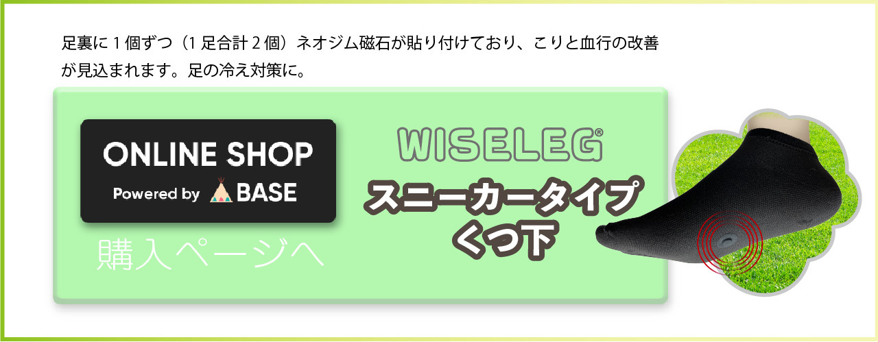 マグネットフットケアWISELEGスニーカータイプくつ下購入ページ