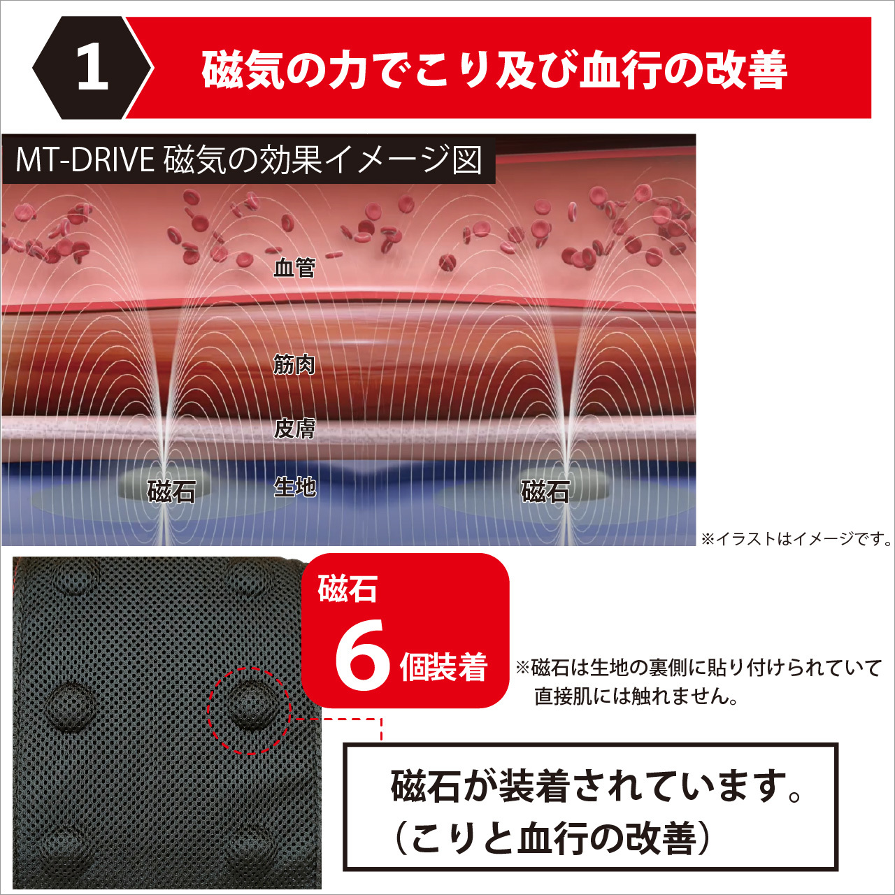 　磁石は直接肌に触れません