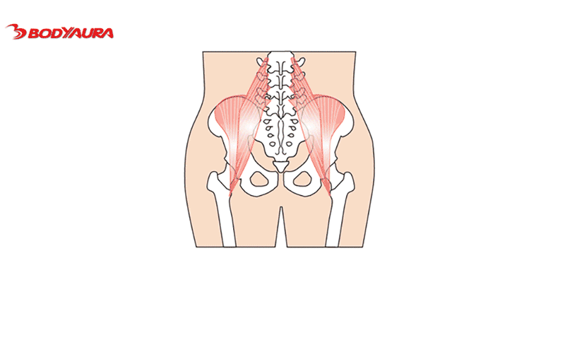 磁気ベルト 腸骨帯は腸骨を包んで固定